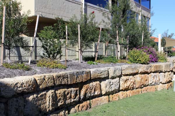 Landscaping