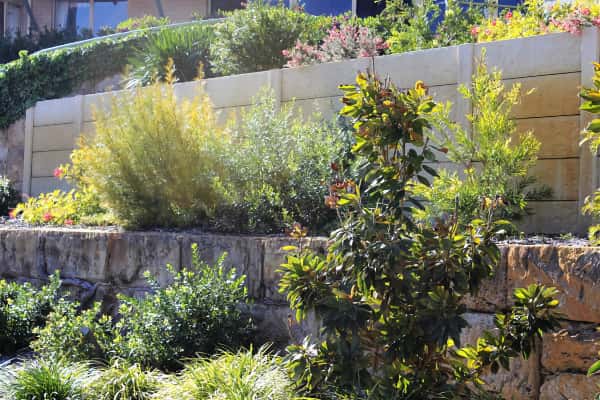 Landscaping